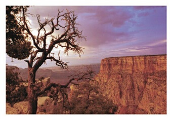  foto Alena ediv - Grand Canyon  (a 05) 